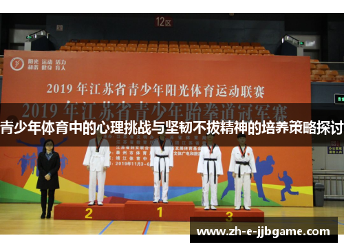 青少年体育中的心理挑战与坚韧不拔精神的培养策略探讨